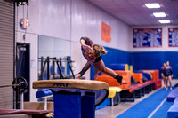 CHS Ladies Gymnastics vs Permian 4 Feb 23