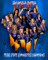 Ladycat State Champs Poster