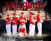 Red Birds LL Baseball 2023