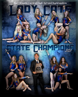 State Champs Gymnastics Posters
