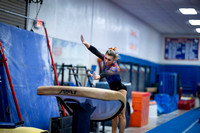 CHS Ladycat District Gymnastics 2024