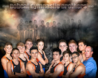 2021 CHS Gymnastics  Mens Team Photos and Posters